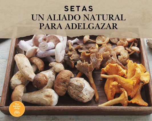 ? Las Setas: Un Aliado Natural para Adelgazar y Disfrutar Comiendo